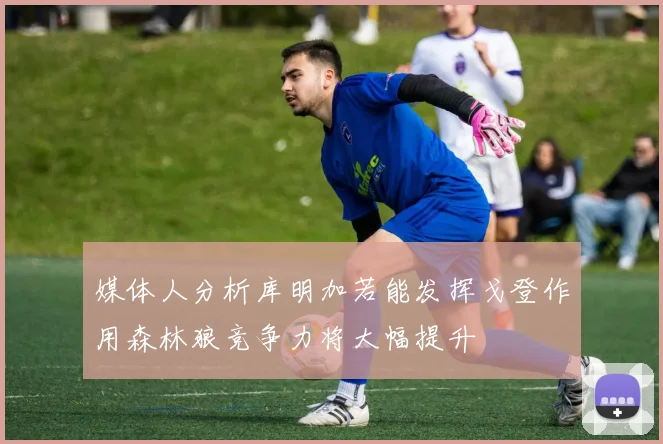 媒体人分析库明加若能发挥戈登作用森林狼竞争力将大幅提升