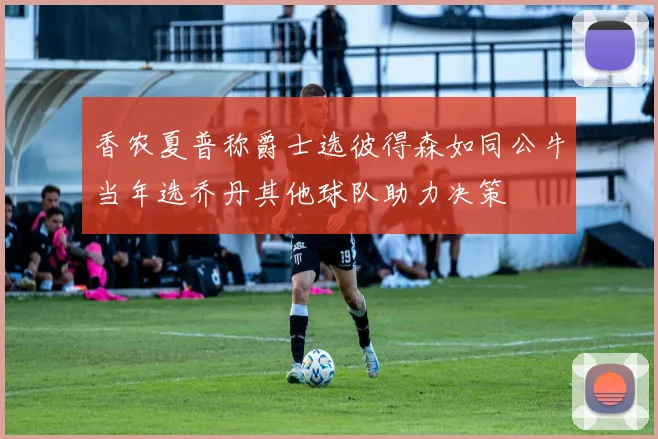 香农夏普称爵士选彼得森如同公牛当年选乔丹其他球队助力决策